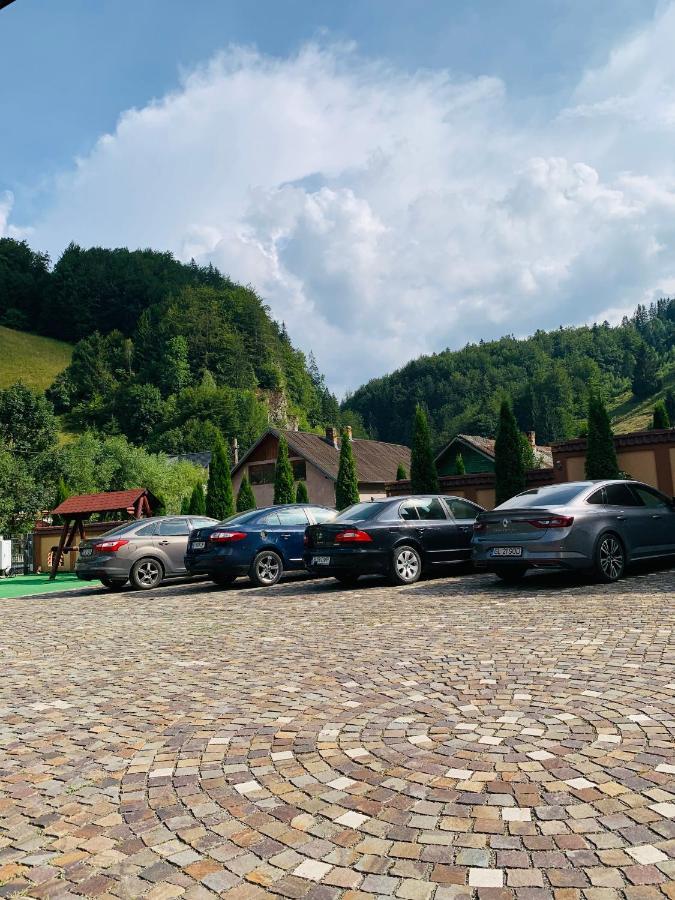 Pensiune Restaurant Piatra Craiului Dâmbovicioara Bagian luar foto
