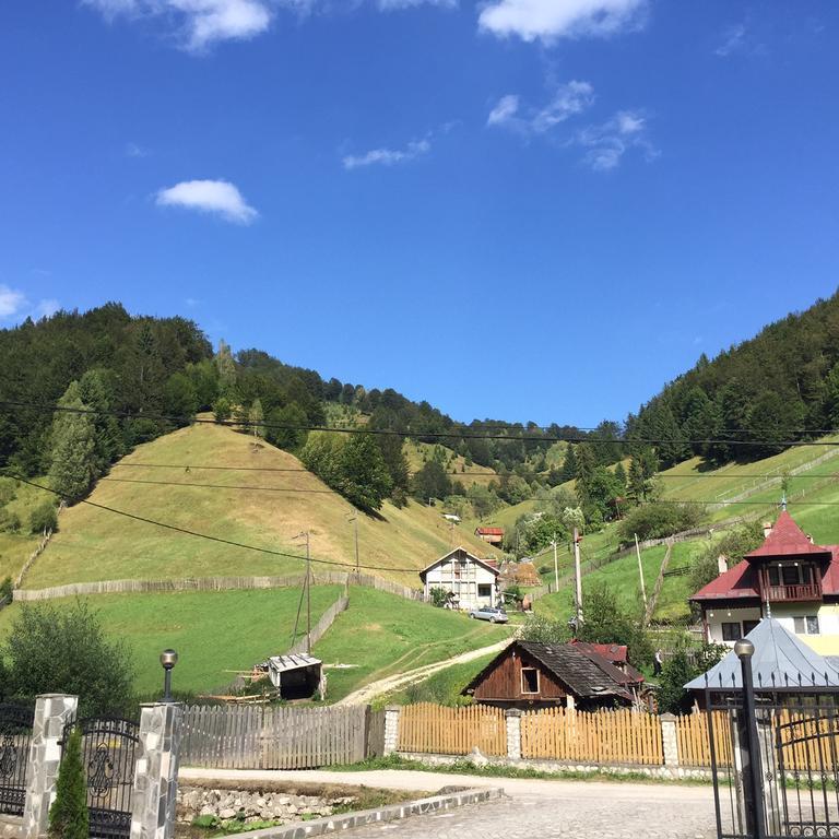 Pensiune Restaurant Piatra Craiului Dâmbovicioara Bagian luar foto
