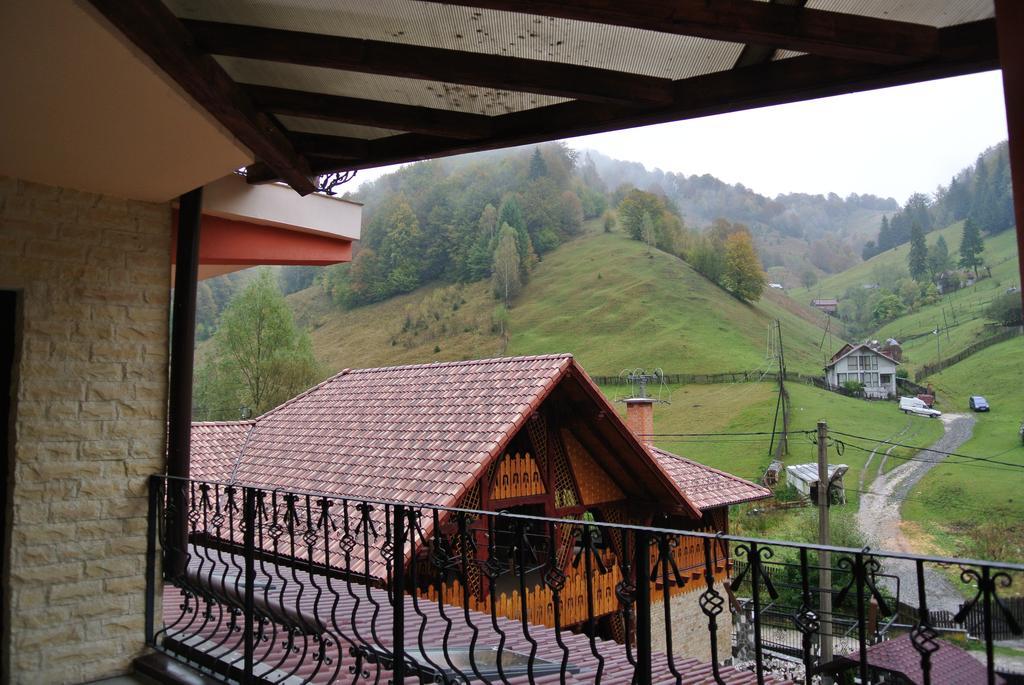 Pensiune Restaurant Piatra Craiului Dâmbovicioara Bagian luar foto