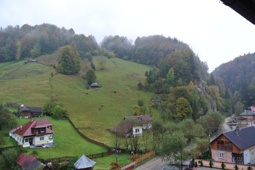 Pensiune Restaurant Piatra Craiului Dâmbovicioara Bagian luar foto